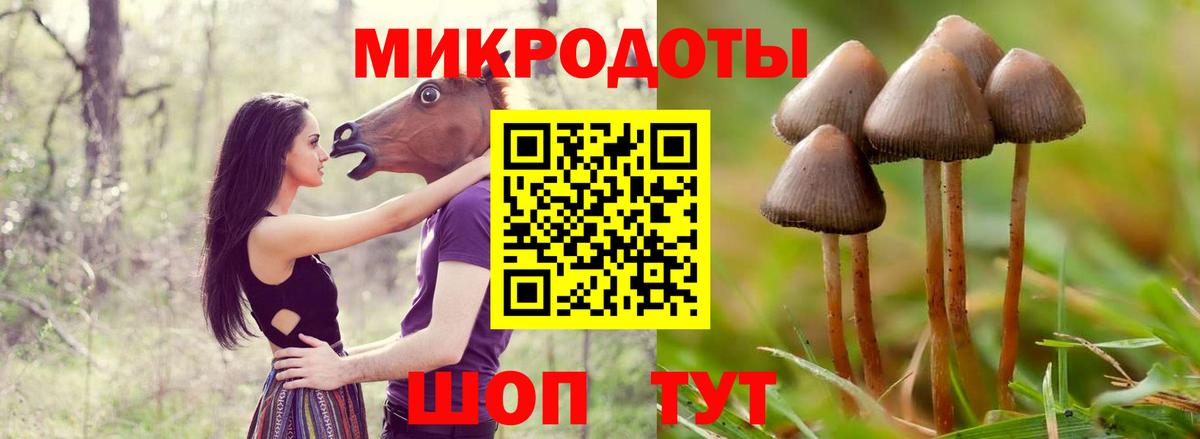 Бугуруслан  Галлюциногенные грибы Cubensis  Галлюциногенные грибы Cubensis  Вход с VPN 